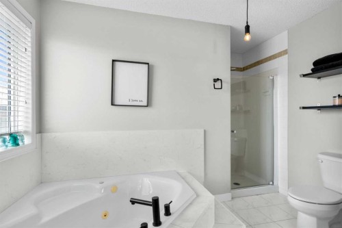 176 Douglas Ridge Green Se, Calgary, AB - Indoor Photo Showing Bathroom