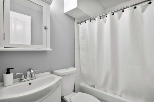 176 Douglas Ridge Green Se, Calgary, AB - Indoor Photo Showing Bathroom