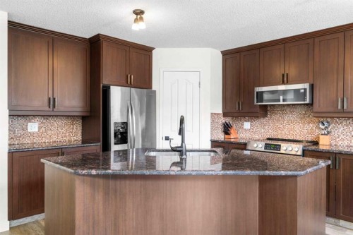 176 Douglas Ridge Green Se, Calgary, AB - Indoor Photo Showing Kitchen With Upgraded Kitchen