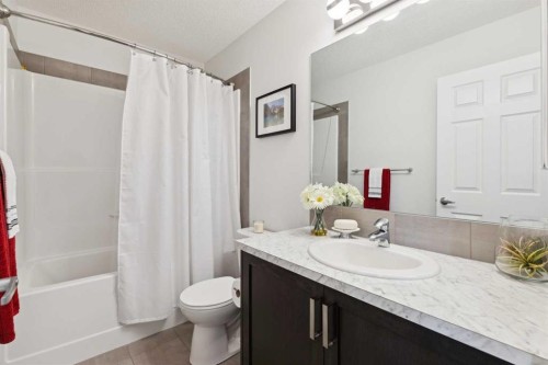 8 Walgrove Green Se, Calgary, AB - Indoor Photo Showing Bathroom