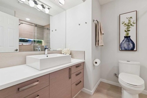 8 Walgrove Green Se, Calgary, AB - Indoor Photo Showing Bathroom