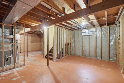 55 Templegreen Drive Ne, Calgary, AB - Indoor Photo Showing Basement