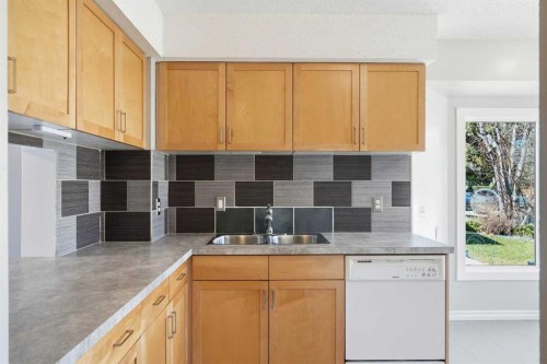55 Templegreen Drive Ne, Calgary, AB - Indoor Photo Showing Kitchen With Double Sink
