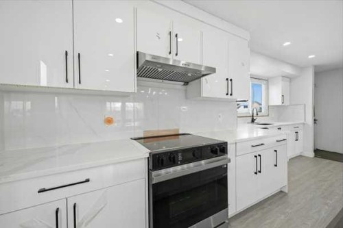 171 Rundlefield Crescent Ne, Calgary, AB - Indoor Photo Showing Kitchen With Upgraded Kitchen