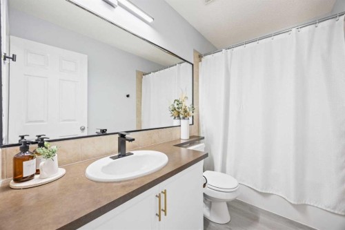 371 Silverado Drive Sw, Calgary, AB - Indoor Photo Showing Bathroom