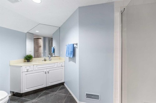 14950 Mt Mckenzie Drive Se, Calgary, AB - Indoor Photo Showing Bathroom