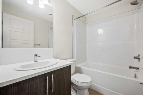 167 Cranbrook Square Se, Calgary, AB - Indoor Photo Showing Bathroom