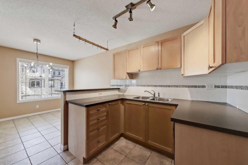 40 Simcoe Place Sw, Calgary, AB - Indoor Photo Showing Kitchen With Double Sink