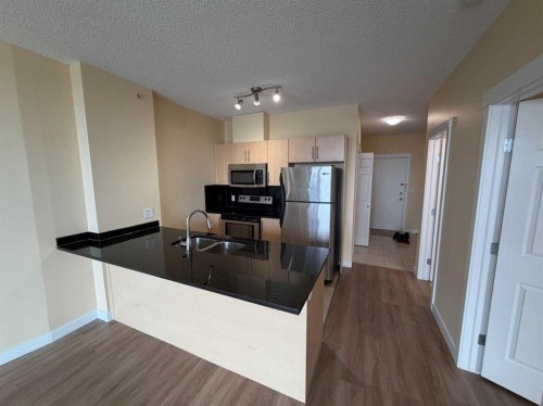 603-325 3 Street Se, Calgary, AB - Indoor Photo Showing Kitchen With Double Sink