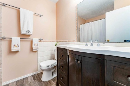 6640 Temple Drive Ne, Calgary, AB - Indoor Photo Showing Bathroom