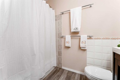 6640 Temple Drive Ne, Calgary, AB - Indoor Photo Showing Bathroom