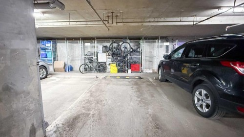 3312-279 Copperpond Common Se, Calgary, AB - Indoor Photo Showing Garage