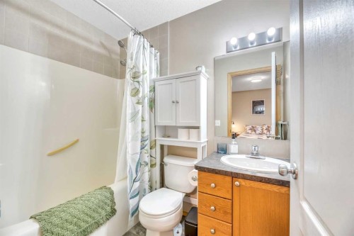 545 Hillview Gate, Strathmore, AB - Indoor Photo Showing Bathroom