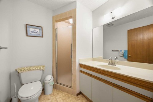 120 Edforth Crescent Nw, Calgary, AB - Indoor Photo Showing Bathroom