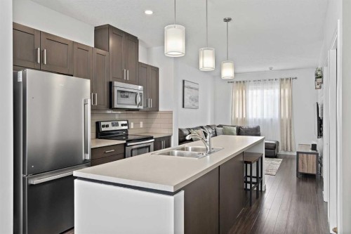 205 Copperstone Park Se, Calgary, AB - Indoor Photo Showing Kitchen With Double Sink With Upgraded Kitchen