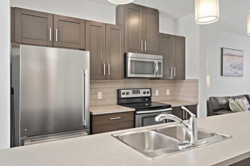 205 Copperstone Park Se, Calgary, AB - Indoor Photo Showing Kitchen With Double Sink With Upgraded Kitchen