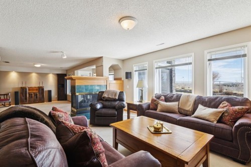266 Diamond Drive Se, Calgary, AB - Indoor Photo Showing Living Room