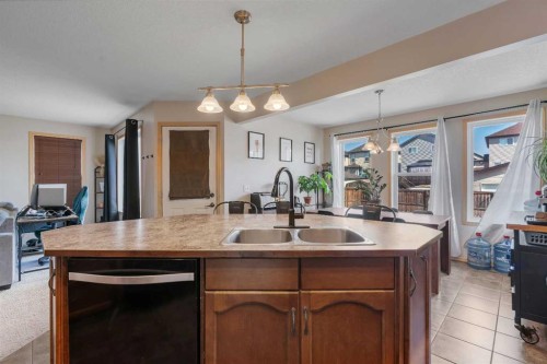 100 Covecreek Close Ne, Calgary, AB - Indoor Photo Showing Kitchen With Double Sink