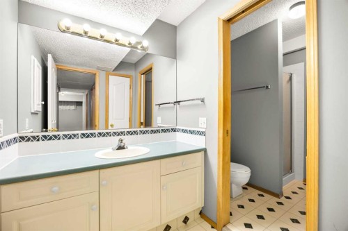 36 Arbour Wood Crescent Nw, Calgary, AB - Indoor Photo Showing Bathroom