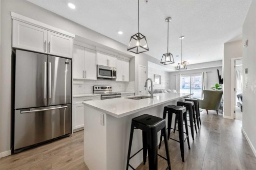 117-4150 Seton Drive Se, Calgary, AB - Indoor Photo Showing Kitchen With Stainless Steel Kitchen With Upgraded Kitchen