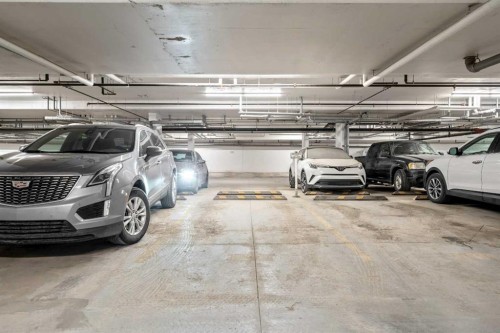 117-4150 Seton Drive Se, Calgary, AB - Indoor Photo Showing Garage