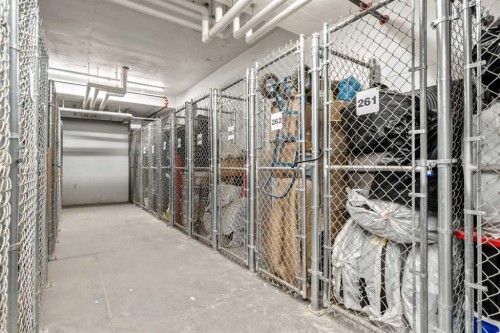 117-4150 Seton Drive Se, Calgary, AB - Indoor With Storage