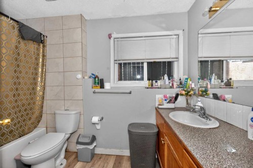 119 Taravista Drive Ne, Calgary, AB - Indoor Photo Showing Bathroom