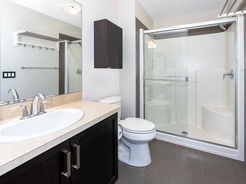 608 Evansborough Way Nw, Calgary, AB - Indoor Photo Showing Bathroom