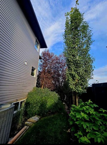 460 Sunset Link, Crossfield, AB - Outdoor