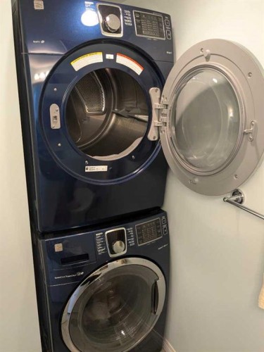 76 Martindale Close Ne, Calgary, AB - Indoor Photo Showing Laundry Room