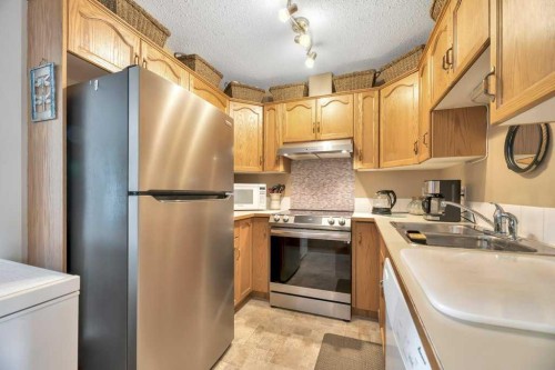 123-103 Strathaven Drive, Strathmore, AB - Indoor Photo Showing Kitchen With Double Sink