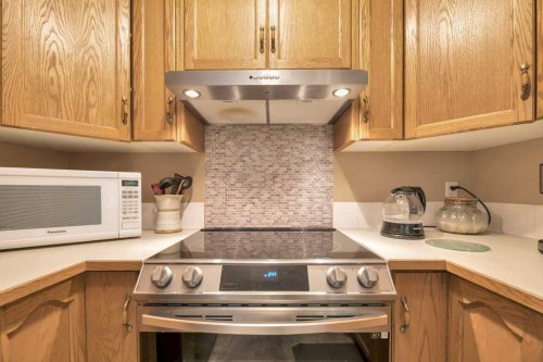 123-103 Strathaven Drive, Strathmore, AB - Indoor Photo Showing Kitchen