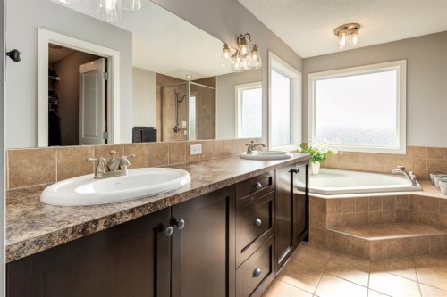 167 New Brighton Close Se, Calgary, AB - Indoor Photo Showing Bathroom