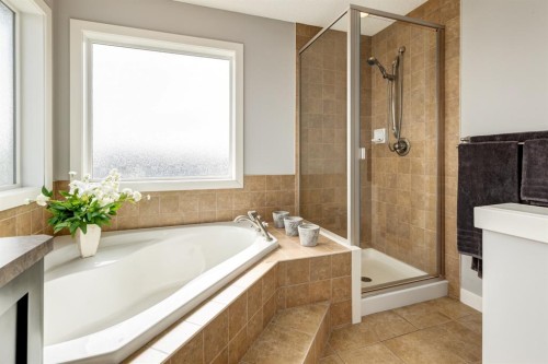 167 New Brighton Close Se, Calgary, AB - Indoor Photo Showing Bathroom