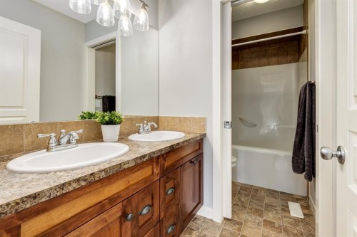 167 New Brighton Close Se, Calgary, AB - Indoor Photo Showing Bathroom