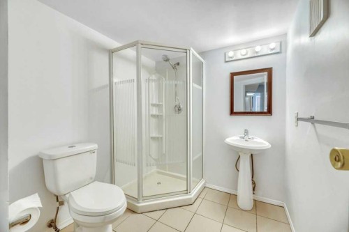 215 Hawktree Circle Nw, Calgary, AB - Indoor Photo Showing Bathroom