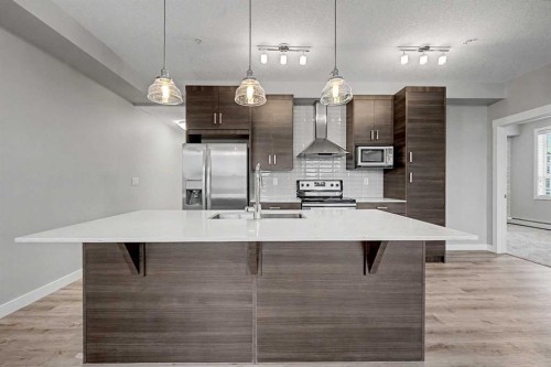 304-10 Walgrove Walk Se, Calgary, AB - Indoor Photo Showing Kitchen With Double Sink With Upgraded Kitchen