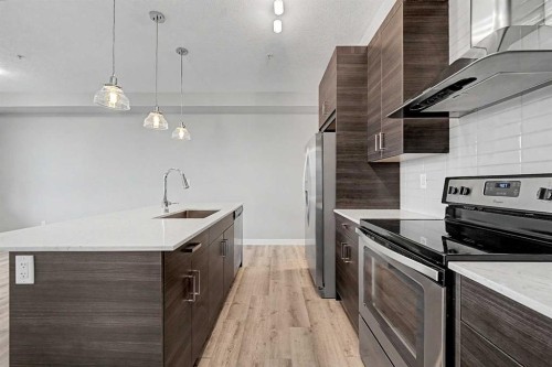 304-10 Walgrove Walk Se, Calgary, AB - Indoor Photo Showing Kitchen With Upgraded Kitchen