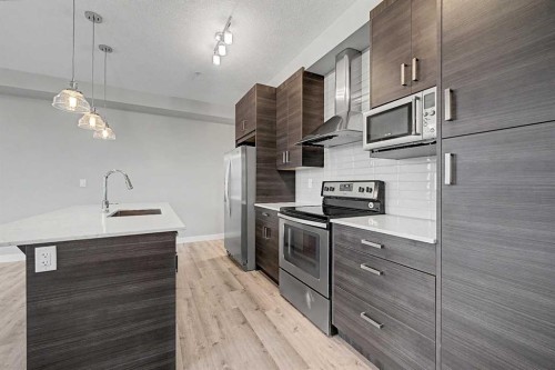 304-10 Walgrove Walk Se, Calgary, AB - Indoor Photo Showing Kitchen With Upgraded Kitchen