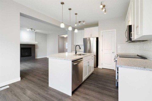 239 Kinniburgh Road, Chestermere, AB - Indoor Photo Showing Kitchen With Stainless Steel Kitchen With Upgraded Kitchen