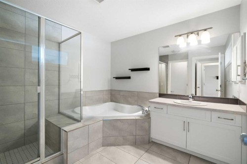 239 Kinniburgh Road, Chestermere, AB - Indoor Photo Showing Bathroom