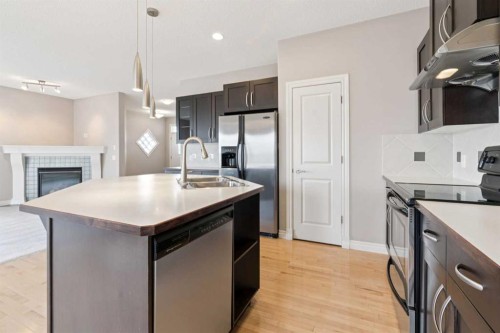 357 Kincora Drive Nw, Calgary, AB - Indoor Photo Showing Kitchen With Fireplace With Stainless Steel Kitchen With Double Sink With Upgraded Kitchen