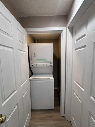 170 Martindale Drive Ne, Calgary, AB - Indoor Photo Showing Laundry Room