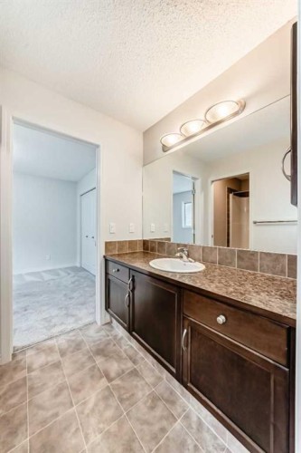 455 Cimarron Boulevard, Okotoks, AB - Indoor Photo Showing Bathroom