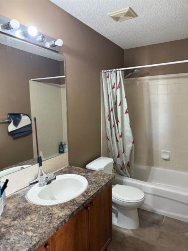 830 Martindale Boulevard Ne, Calgary, AB - Indoor Photo Showing Bathroom