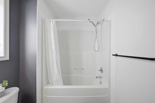 41 New Brighton Green Se, Calgary, AB - Indoor Photo Showing Bathroom
