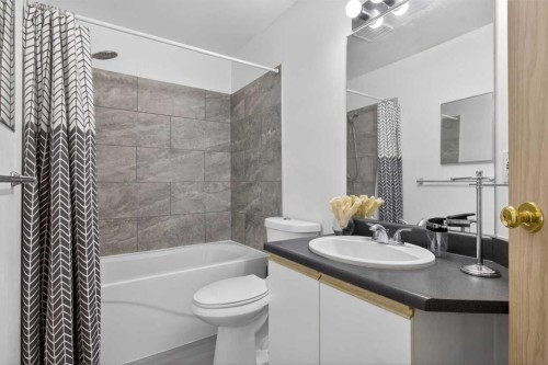 414-10 Dover Point Se, Calgary, AB - Indoor Photo Showing Bathroom