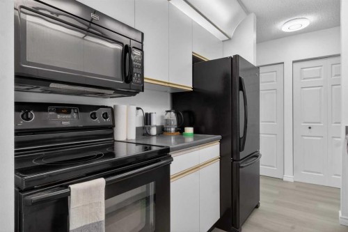 414-10 Dover Point Se, Calgary, AB - Indoor Photo Showing Kitchen