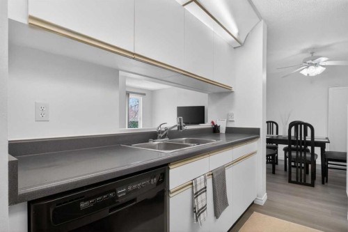 414-10 Dover Point Se, Calgary, AB - Indoor Photo Showing Kitchen With Double Sink