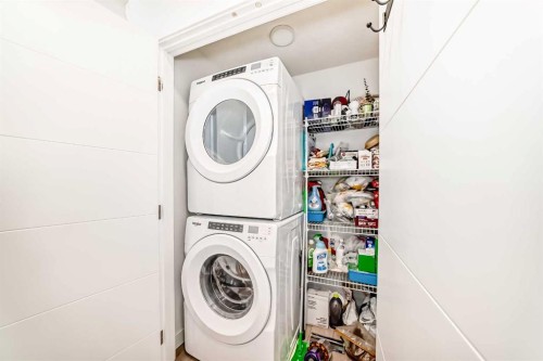 44 Spring Creek Common Sw, Calgary, AB - Indoor Photo Showing Laundry Room